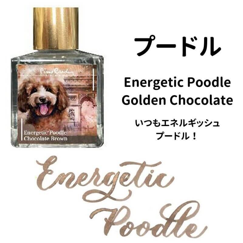 ピエール・カルダン Piere Cardin Color of Dogasy 2 : 石丸文行堂