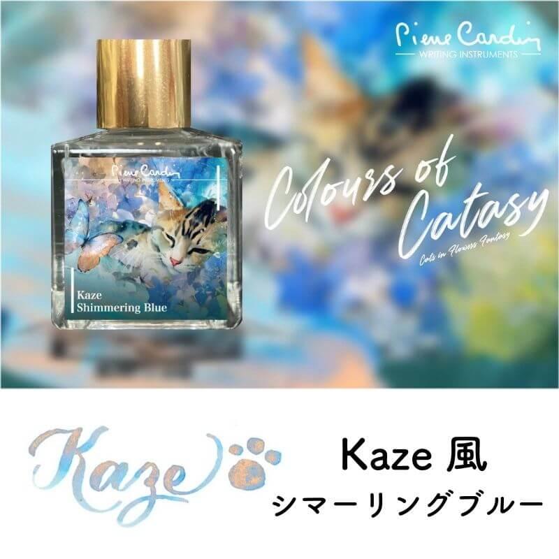 Piere Cardin ピエール・カルダン Colours of Catasy PAW-PAW : 石丸文