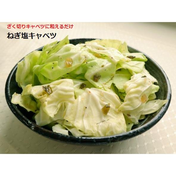 スタミナねぎ塩たれ　1.1kg |  | 05