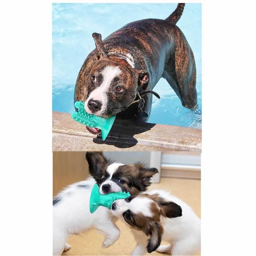 犬 噛むおもちゃ いぬ おもちゃ 犬 歯ブラシ おもちゃ 全方位歯磨き 歯のケア 用品 エコ素材採用 強力吸盤 知育玩具 ストレス解消 餌入れkamubol C Ki0427 13a Com Shot 通販 Yahoo ショッピング