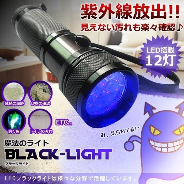 魔法のライト Led ブラックライト 12灯 自由研究 理科 科学 汚れ 釣り 蓄光力