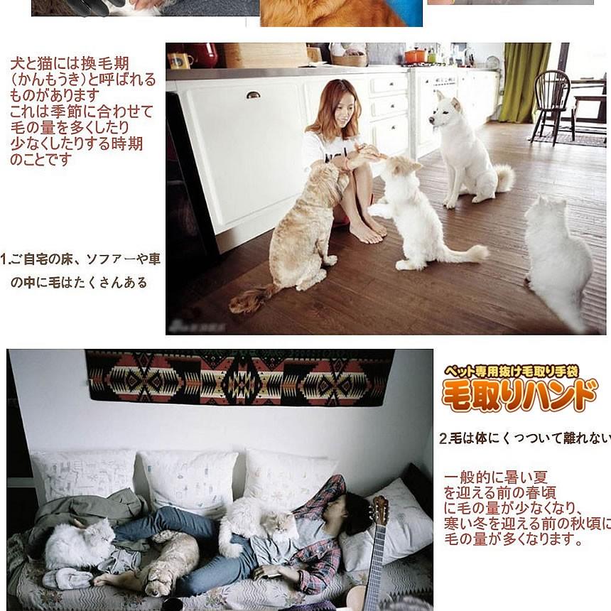 残り3台 早い者勝ち ペット用 毛取りハンド 手袋 左右手セット 猫犬適用 マッサージブラシ 毛玉 取り用品 夏 抜け毛 対策 Ketoriband F0524 1a Com Shot 通販 Yahoo ショッピング