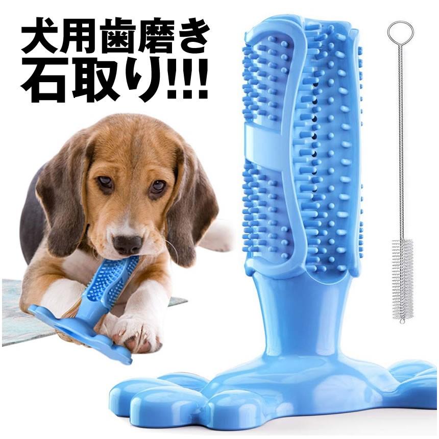 ペット用歯ブラシ ブルー 犬用おもちゃ 犬歯ブラシ 歯磨きシート 子犬かむ玩具 犬用歯ブラシ Pebura Bl Kg0913 10a Com Shot 通販 Yahoo ショッピング