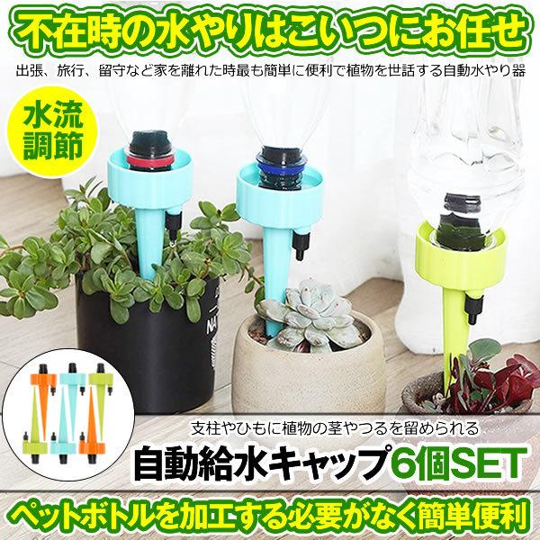 自動給水キャップ 6個セット 水やり当番 じょうろ 自動水やり器 植物 自動
