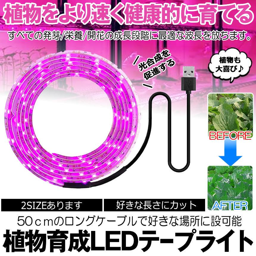 植物育成ライト 3m Led植物用 Ledテープライト 植物成長促進 光合成 促進 防水 Usb対応 Ledテープ 植物育成ランプ 家庭菜園 室内園芸 野菜 Sodatu M Mi11 10a Com Shot 通販 Yahoo ショッピング