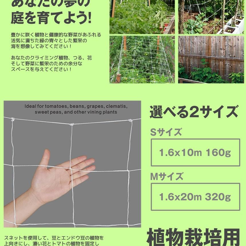 残り6台 早い者勝ち 植物栽培用ネット Mサイズ 園芸ネット かんたん つる栽培ネット ビニール 園芸用 ネット 花 トマト 野菜 Shsanets M S Kh0523 15a Com Shot 通販 Yahoo ショッピング