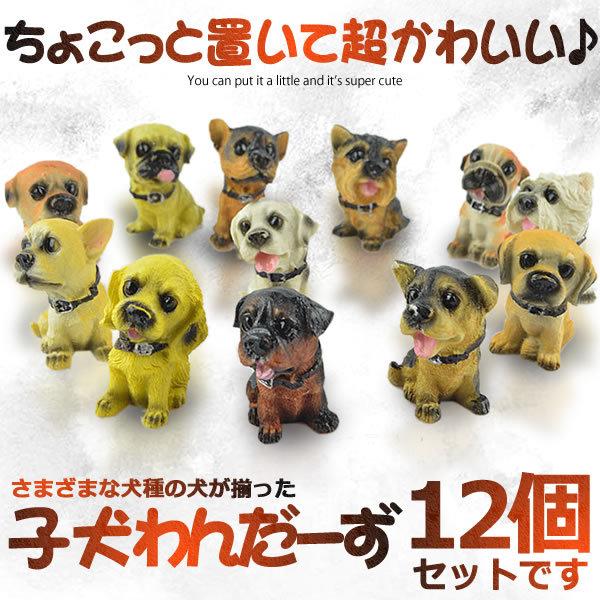 子犬ワンダーズ 12個セット ミニ 犬 置物 インテリア 玄関 インテリア アニマル グッズ フィギュア コレクション Koiwand