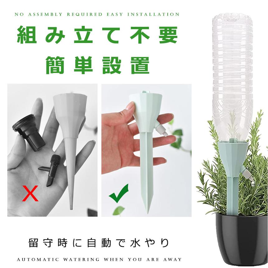 芙蓉直接取引植木植木鉢園芸ガーデニング直接取引