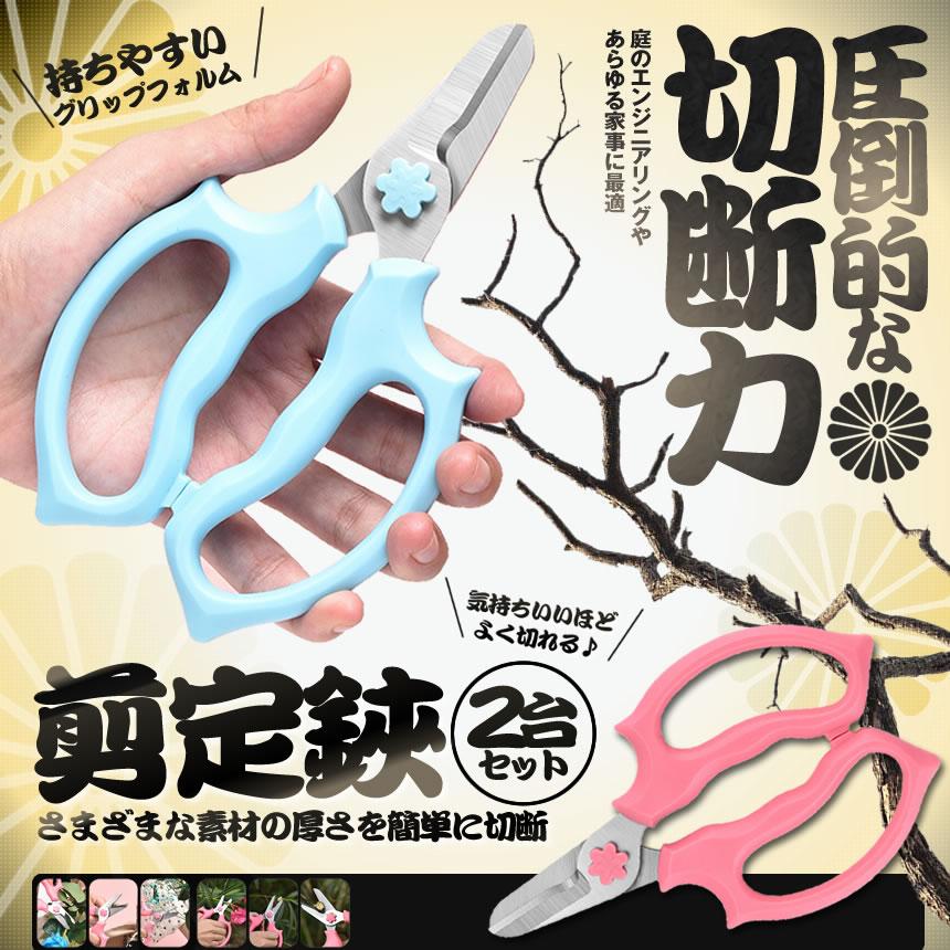 園芸用 はさみ 2個セット ランダム色 ステンレス鋼 果樹 剪定 庭果樹 はさみ果樹 花 枝 家庭用 ツール 2 Senbba S Mh0618 16a Com Shot 通販 Yahoo ショッピング