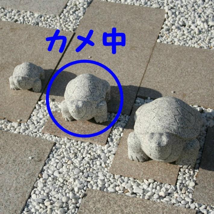 カメ(中) 御影石 カメ かめ 亀 置物 置き物 玄関 エントランス 庭