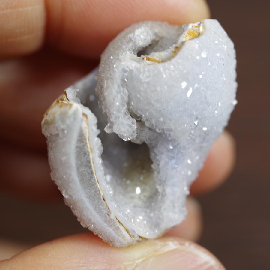 水晶化した巻き貝の化石6 インド産 Crystallized Conch India 写真現物 動画あり｜ishinomise｜04