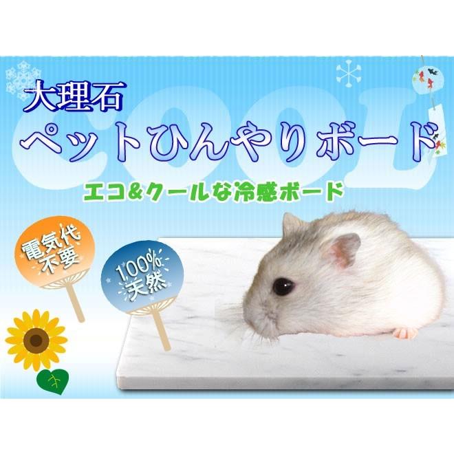 安売り 冷感アルミプレート 10×4cm クール 小動物 熱中症対策 ハムスター ペット *冷感アルミプレート 10×4cm 小動物 夏 熱中症対策 ハムスター ペット