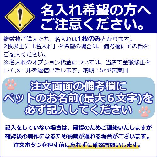 大理石ひんやりボード　白大理石４０×４０センチ　大型軽量　コーナーＲ加工　熱中症対策｜ishisenmonten｜11