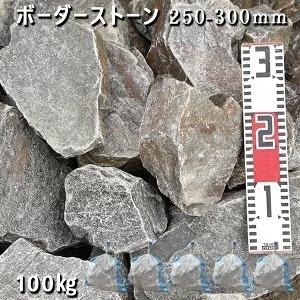 庭石 ロックガーデン 土留め ボーダーストーン 250 300mm 5袋セット 計約100kg 砕石 ガーデンロック ガーデニング おしゃれ Diy 花壇 Diy 土留め 造園 砕石 割栗石 大理石を工場直売 Nc G 01 5 池 石専門店 Com 売り専門店 の