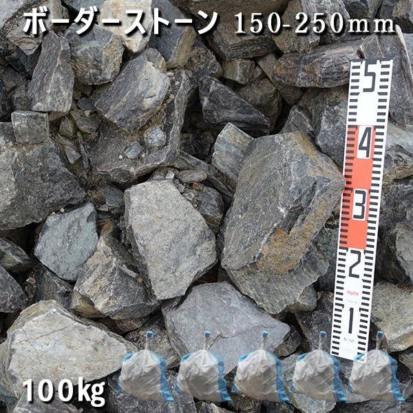 ロックガーデン 石専門店 Com ボーダーストーン 150 250mm おしゃれ ガーデニング ガーデンロック Diy 砕石 5袋セット 計約100kg ボーダーストーン 150 250mm 庭石 ガーデンロック 割栗石 造園 ガビオン 土留め 池