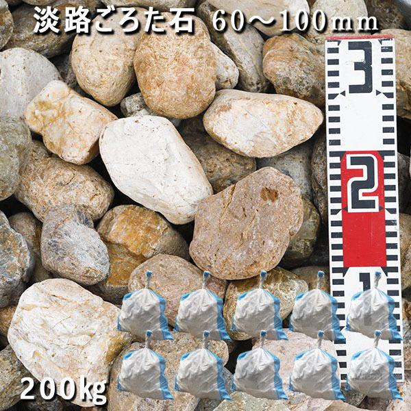 賜物 庭石 ゴロタ石 自然石 ごろた 淡路ごろた石 60 100mm 10袋セット 計約0kg ガーデンロック ガーデニング おしゃれ Diy 花壇 造園 ロックガーデン 割栗石 Dprd Jatimprov Go Id