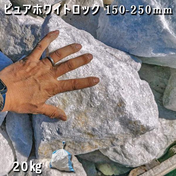 庭石 割栗石 砕石 石灰岩 ロックガーデン ピュアホワイトロック 0 300mm 1袋 流行 ガーデニング おしゃれ ガーデンロック 花壇 約kg Diy 造園