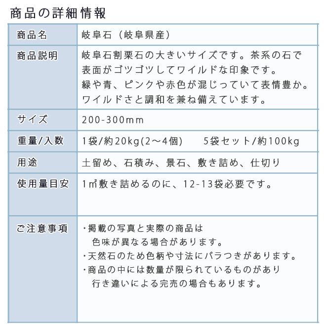 岐阜石 200ー300mm 1袋2-3個 5袋セット 計約100kg ガーデニング