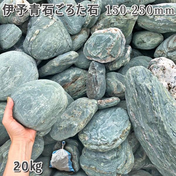 伊予青石 ごろた石 150ー250mm 1袋 約20kg ガーデンロック