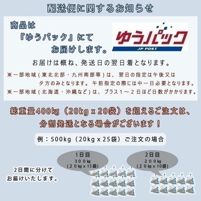 伊予青石 ごろた石 150ー250mm 1袋 約20kg ガーデンロック
