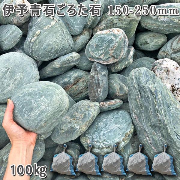 伊予青石 ごろた石　150ー250mm　 5袋セット　計約100kg ガーデンロック ガーデニング おしゃれ DIY 花壇 造園 庭石 ゴロタ石 自然石 川石