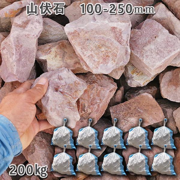 山伏石 100ー250粍  10袋仕掛ける 計約200kg 庭園鍵を掛ける ガーデニング かっこ良い DIY 花やしき 造園 ガビオン 庭石 割栗石 砕石 山石 気取らない石 踏み石、飛び石-砂利、石、枕木-庭、ガーデニング