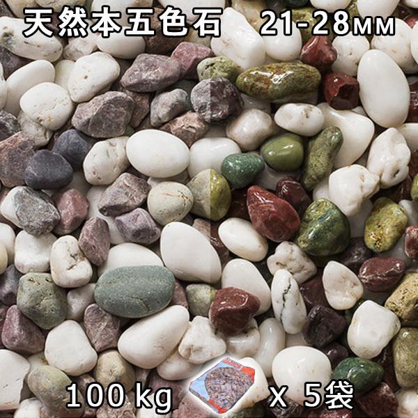 生まれながら本五色石 小（21-28粍） 5袋仕掛ける/計約100kg 法人宛 又は 人間様支店打ち切り  代引不可 第四次元決める不可 砂利、石、枕木-庭、ガーデニング-踏み石、飛び石