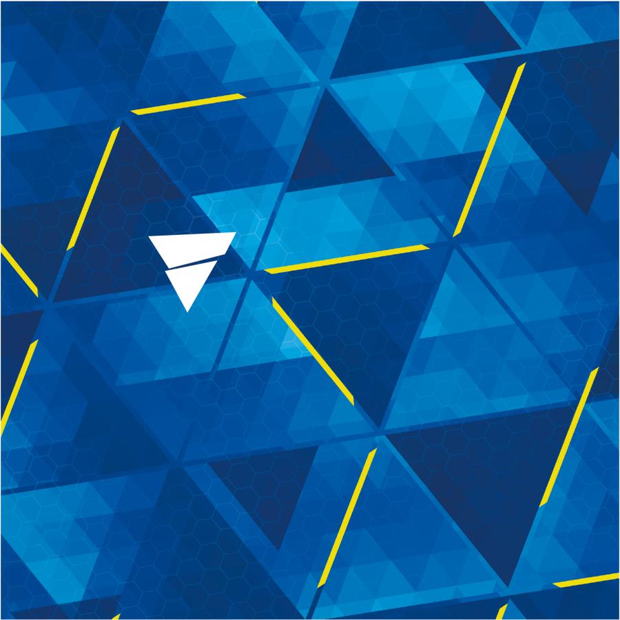 VICTAS（ヴィクタス） 吸着保護シート NGS 303 801131 卓球ラバー保護