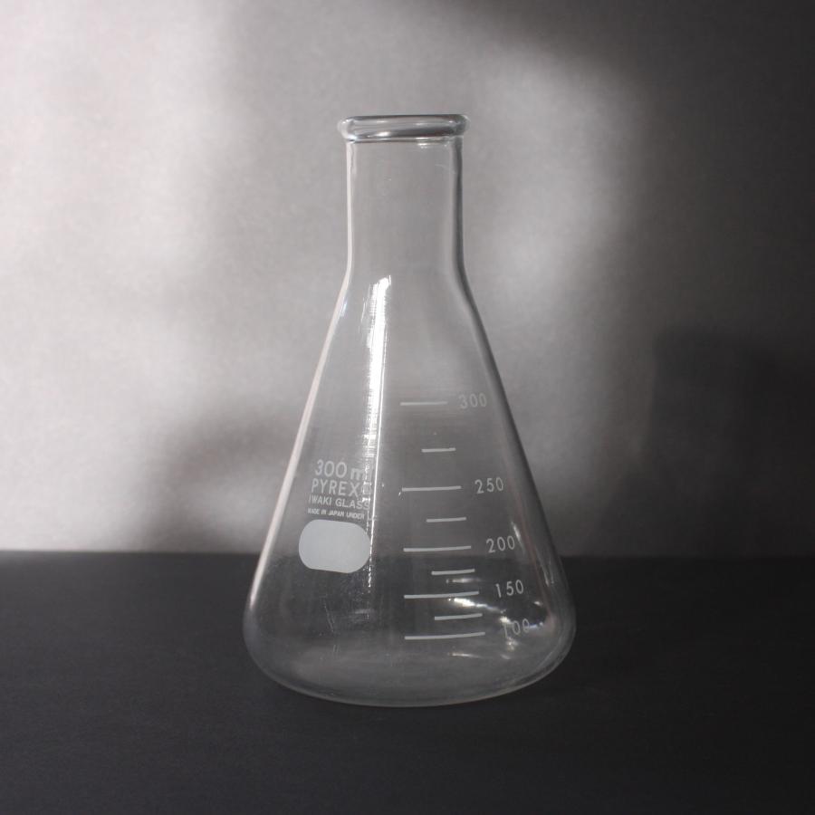 PYREX/パイレックス IWAKI GLASS 岩城硝子 三角フラスコ 300ml 学習
