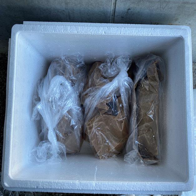 地蛤 2kg サイズ 80g~100g/個 はまぐり ハマグリ 蛤 千葉県 九十九里産 豊洲市場よりお届けいたします グルメ ギフト2021|ishizawa-food|05