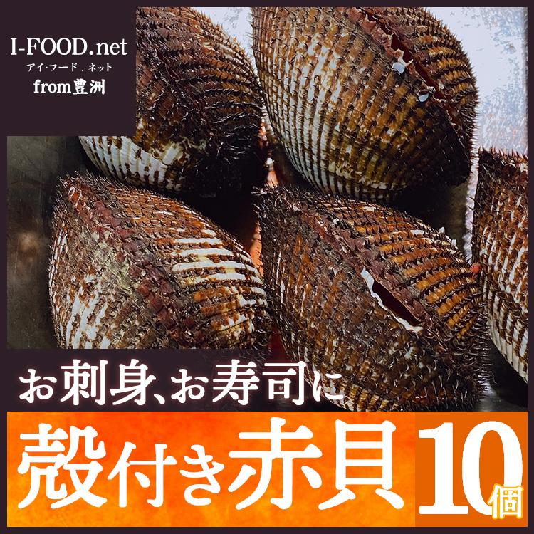 殻付き 赤貝 10個入り アカガイ 豊洲市場よりお届けいたします グルメ ギフト2021｜ishizawa-food
