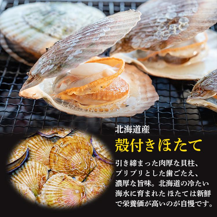 北海道産 殻付きホタテ 5枚 帆立 ほたて 豊洲市場よりお届けいたします グルメ ギフト2021|ishizawa-food|02