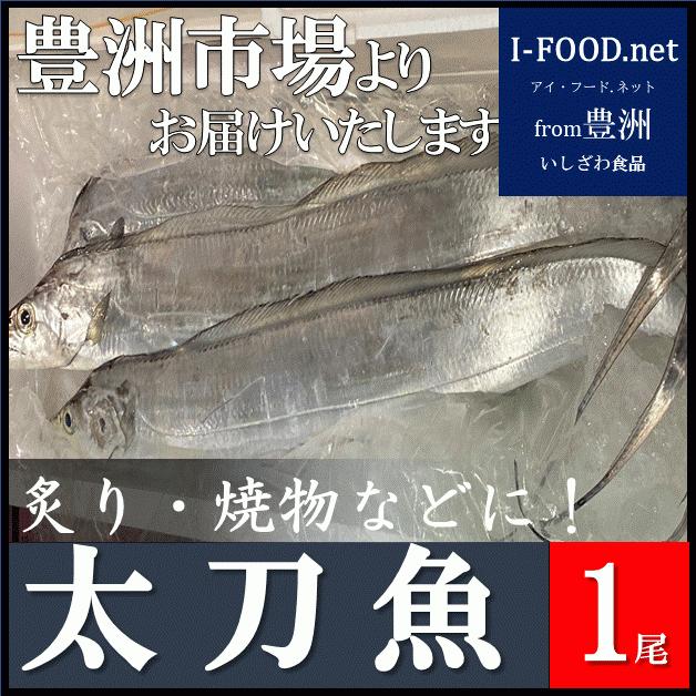 太刀魚 たちうお タチウオ 豊洲市場よりお届けいたします グルメ ギフト2021 : I-food.net from豊洲 - 通販 - Yahoo!ショッピング