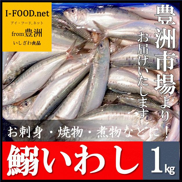 いわし 鰯 イワシ 豊洲市場よりお届けいたします グルメ ギフト21 Sa000 I Food Net From豊洲 通販 Yahoo ショッピング