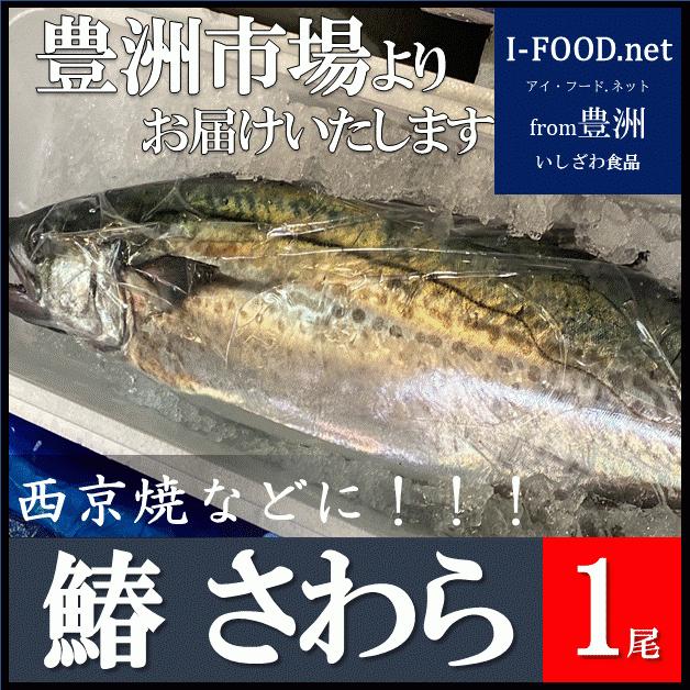 さわら 鰆 サワラ 豊洲市場よりお届けいたします グルメ ギフト2021 : I-food.net from豊洲 - 通販 - Yahoo!ショッピング