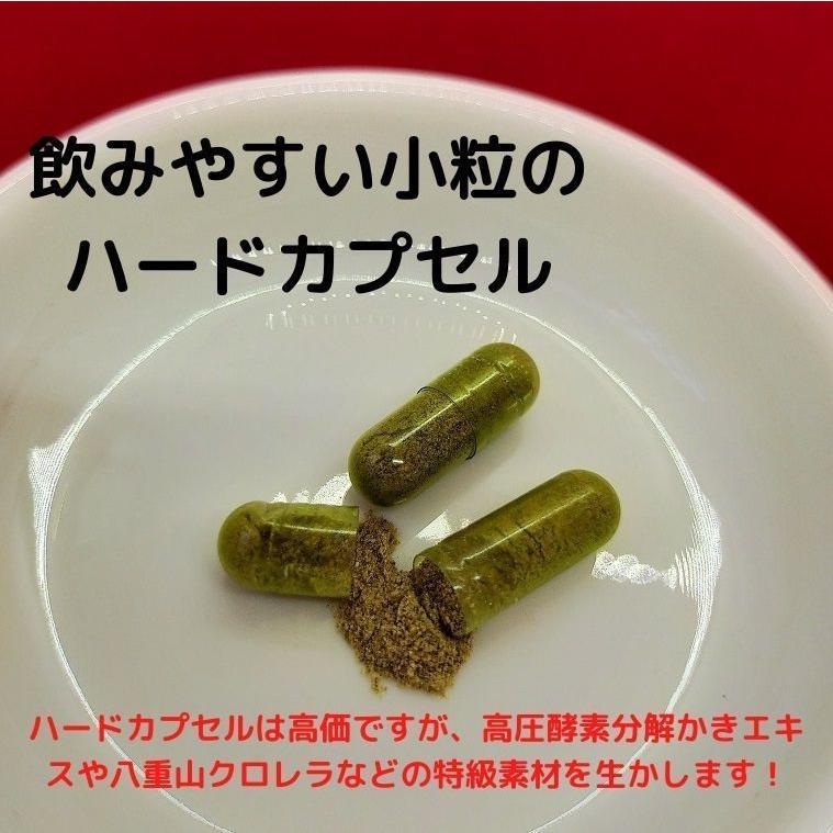 亜鉛 サプリ おすすめ 令和の広島かき 5個セット 牡蠣 ビタミンC 八重山クロレラ 葉酸 ビタミンD サプリメント |  | 02