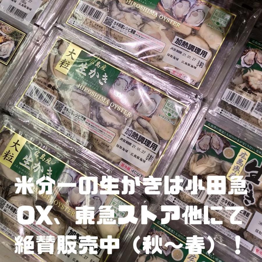 亜鉛 サプリ おすすめ 令和の広島かき 5個セット 牡蠣 ビタミンC 八重山クロレラ 葉酸 ビタミンD サプリメント |  | 08