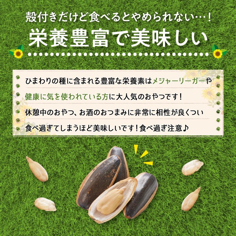 医食同源ドットコム HOME RUN ひまわり（プレーン味） / ひまわりの種