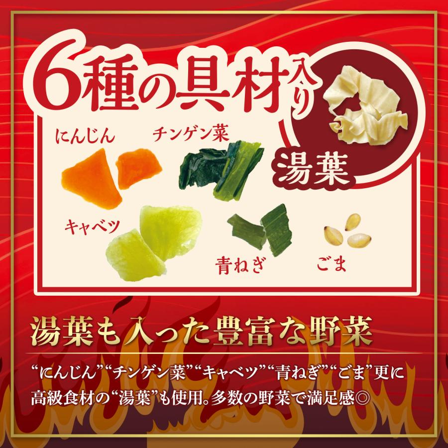 医食同源ドットコム 【送料無料】麻辣湯 マーラー マーラータン 12個