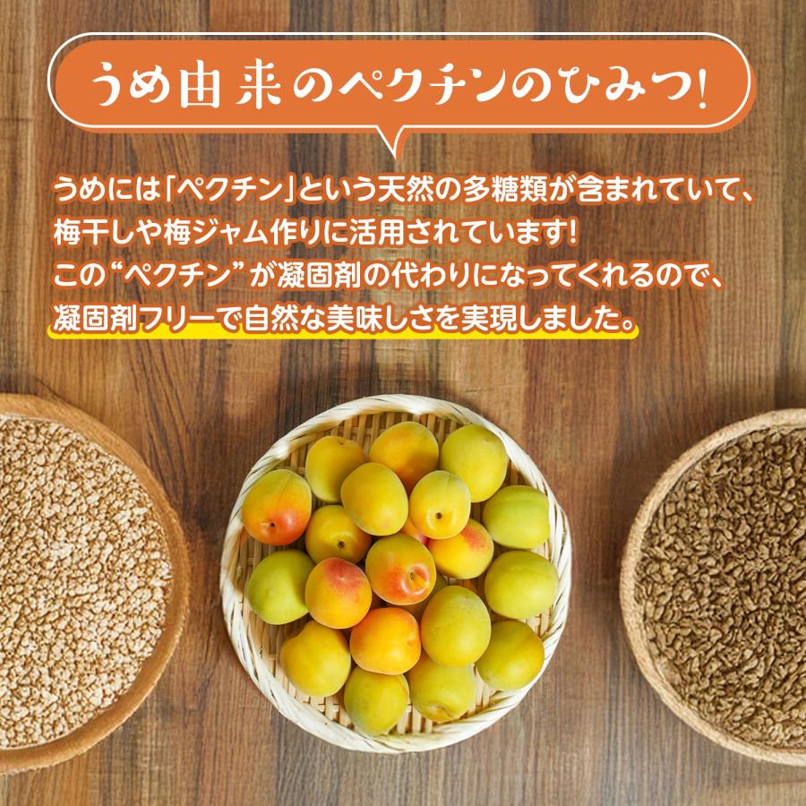 ペラッコ マンゴー&うめ / 梅 梅シート 梅干しシート マンゴー