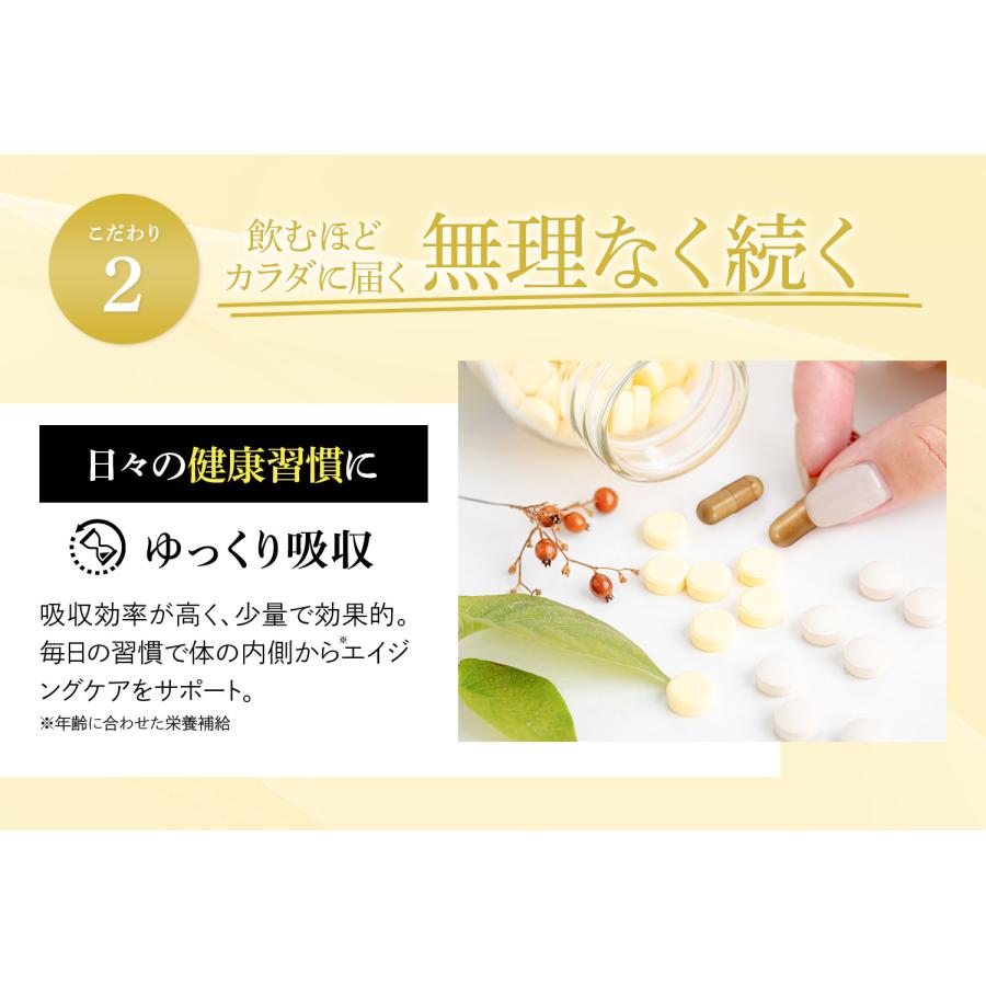Liposome NMN＋Piceatannol 90粒 / リポソーム NMNサプリ ピセアタン