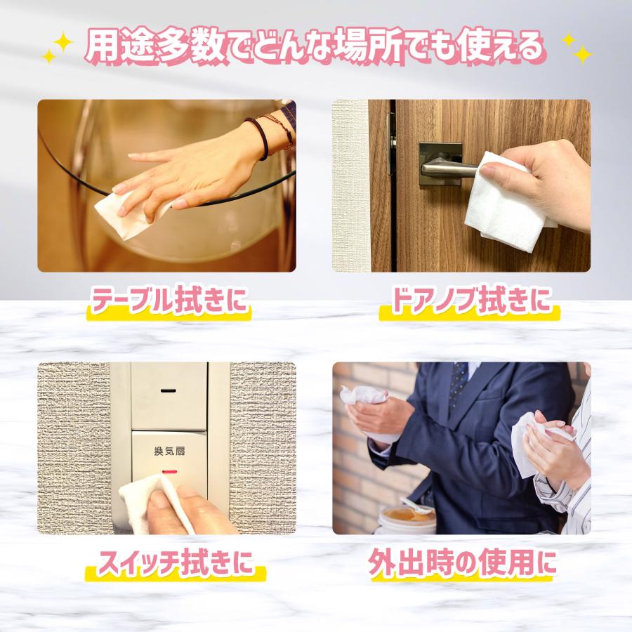 ぽけっとていしゆ ウイルス除去ポケットウェット10枚3P【公式】≪1個からお