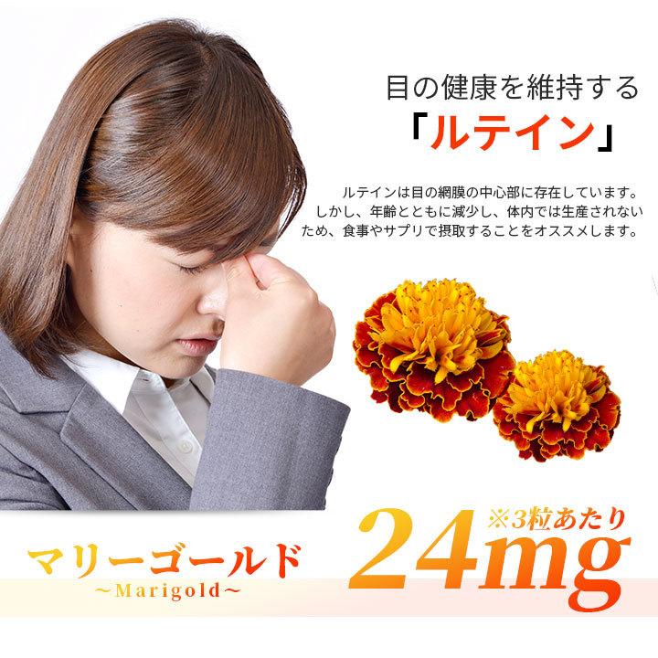 ルテイン ビルベリー R たっぷりのルテイン24ｍｇ配合 ブルーライト対策に サプリ サプリメント Rutepurabiru Isdg 医食同源ドットコム 通販 Yahoo ショッピング