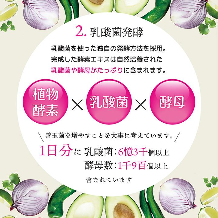 232酵素シリーズ 酵素 サプリ サプリメント 夜間酵素 120粒 30日分 ダイエット アミノ酸 | 医食同源ドットコム | 08