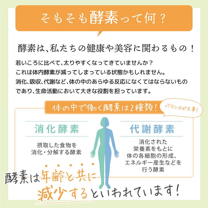 232酵素シリーズ 酵素 サプリ サプリメント 夜間酵素 120粒 30日分 ダイエット アミノ酸 | 医食同源ドットコム | 09