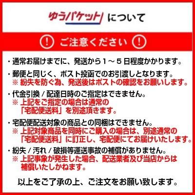 大極上 別製 上塗 漆刷毛 赤毛本通し カシュー筆 太さ:五分(5分/約15mm  