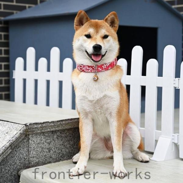 犬 首輪 唐草模様 犬の首輪 からくさ バックル首輪 柴犬 可愛い