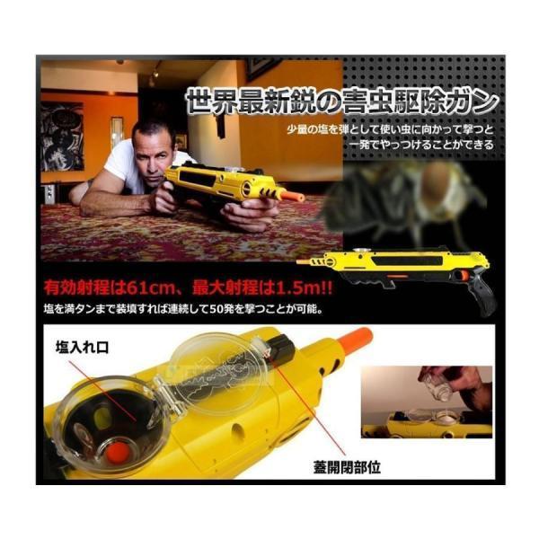 バグアバスター 塩でハエを撃退するショットガン __ : 石と薔薇ヤフー