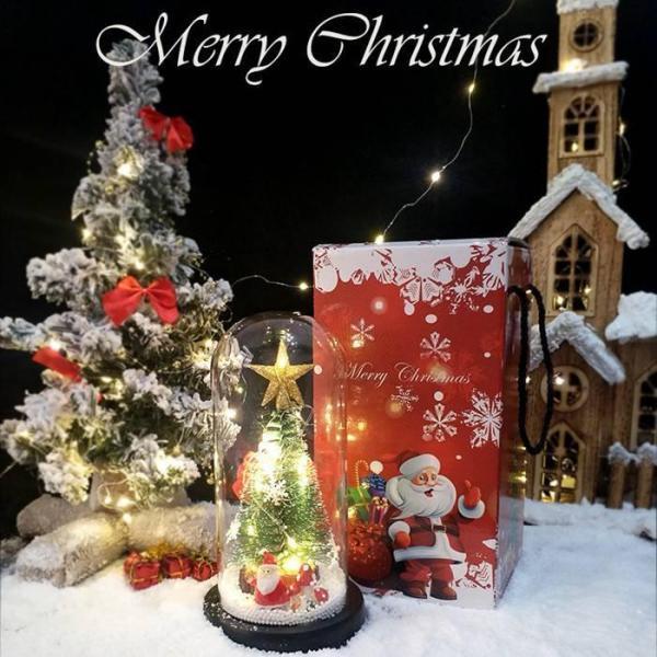 クリスマスツリー 卓上LED グラスボックス ミニツリー クリスマス飾り