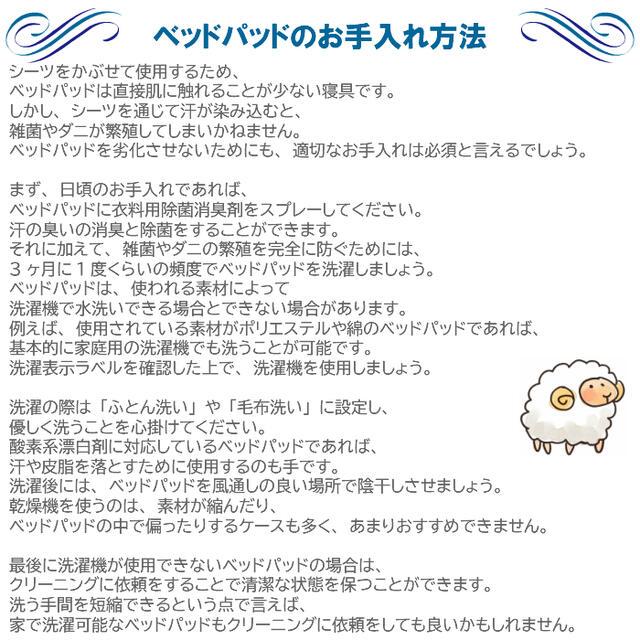 フランスベッド（FRANCEBED） お得な2枚セット オールシーズン対応